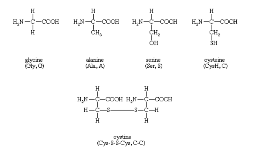 Proline Amino acid. Ала аминокислота. Глицин цистеин. Аланин серин аспарагин.